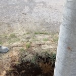 Przebudowa linii napowietrznej nN